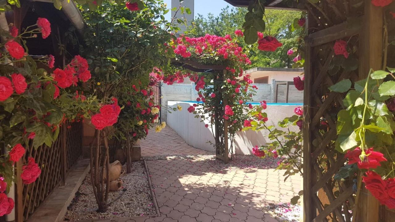 Pensiunea Dunavis Orşova Exteriér fotografie