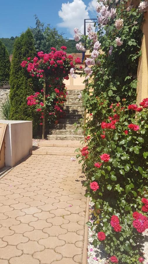 Pensiunea Dunavis Orşova Exteriér fotografie